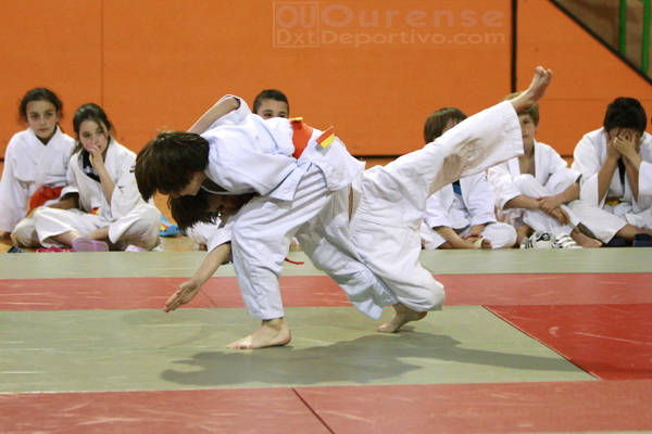 Copa Diputacion Ourense de Judo 2015 (Foto: Nacho Rego)
