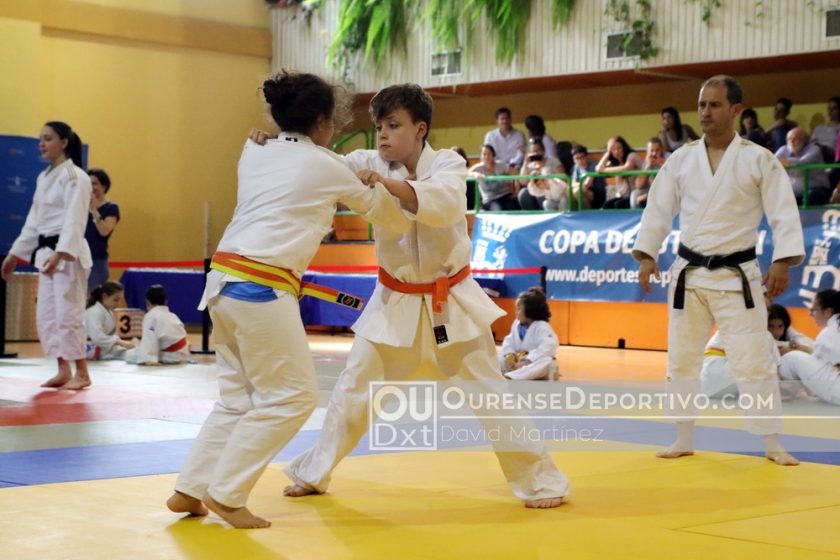 Copa Deputacion judo foto david martinez 2018