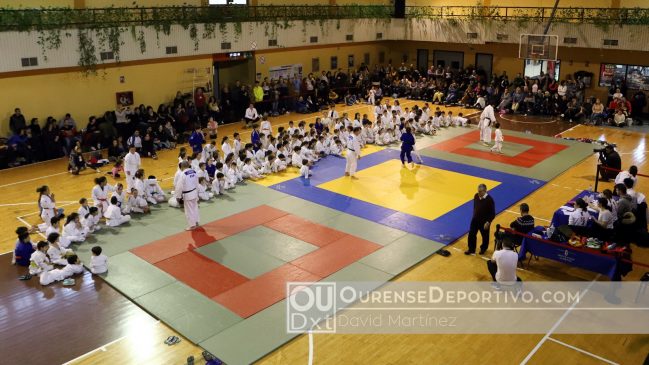 Copa Diputacion Judo Foto Martinex