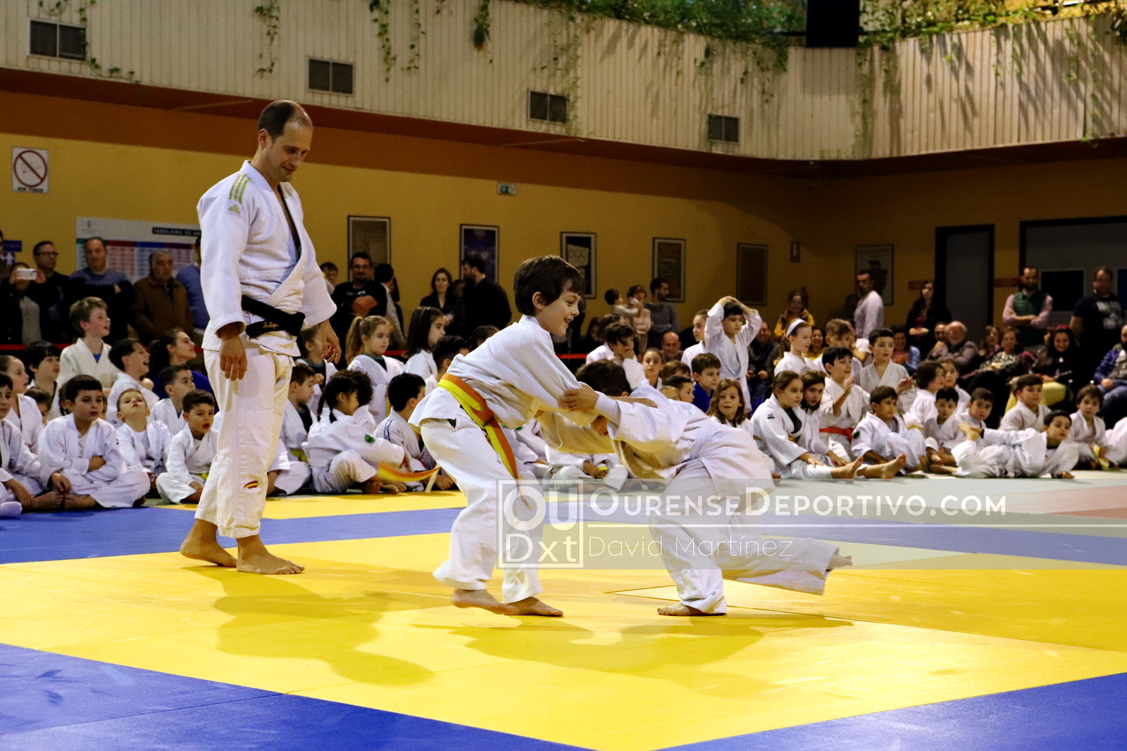 Copa Diputacion Judo Foto Martinex